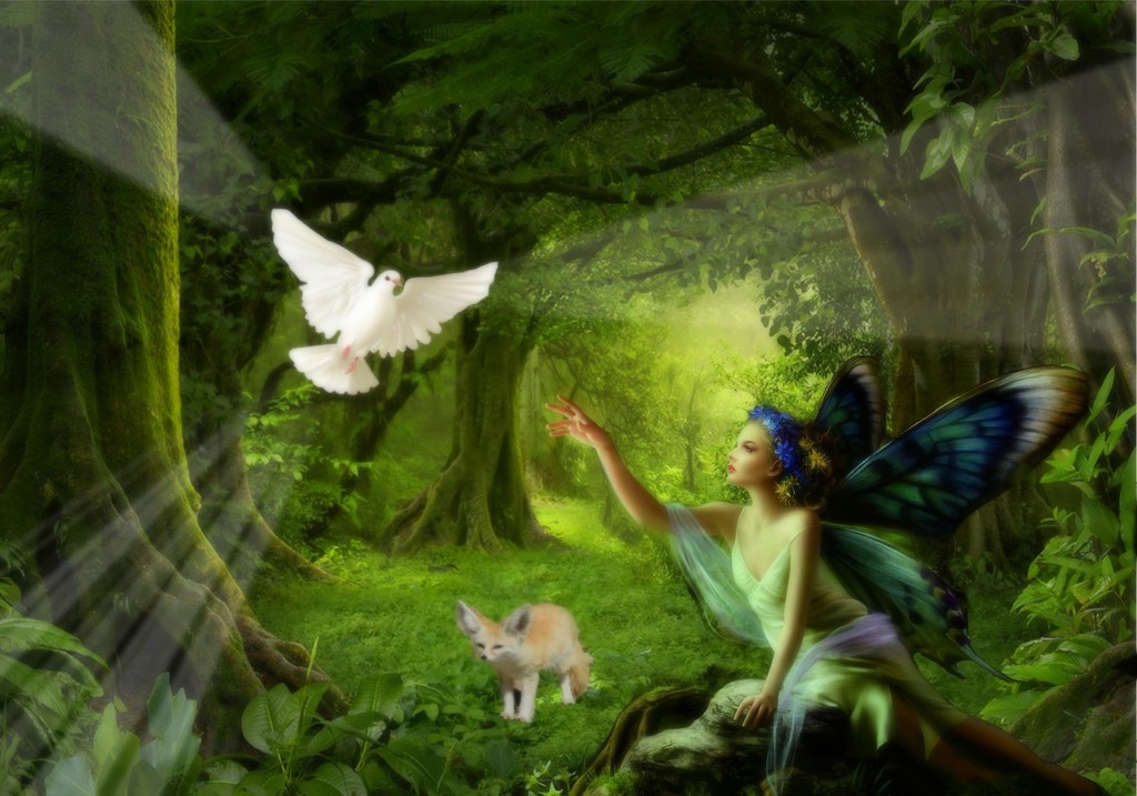 Fairy Forest  by joysfocus