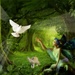 Fairy Forest  by joysfocus