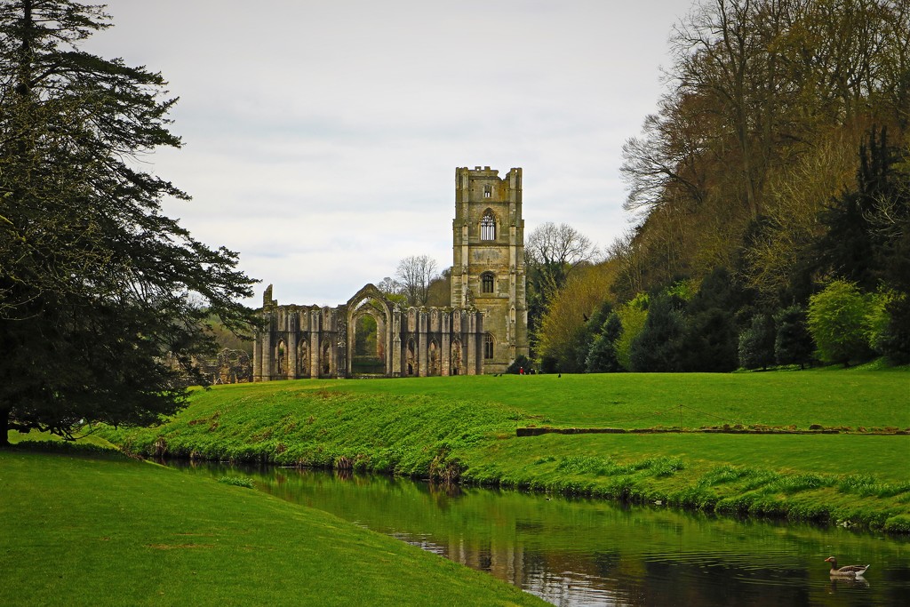 Fountains Abbey by phil_sandford