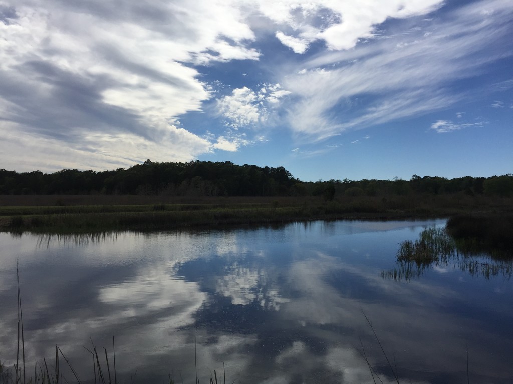 Marsh and sky, Charleston County, South Carolina by congaree
