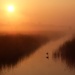 Dawn mist on the reedbeds by julienne1