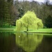 Reflecting in green by carole_sandford