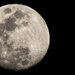 Moon Shot! by rickster549