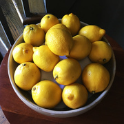 11th Apr 2017 - When Life Gives You Lemons