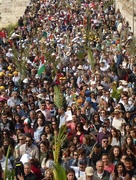 9th Apr 2017 - Palm Sunday in Jerusalem