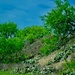 West Texas in the spring by louannwarren