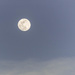 Moon at Dusk  by marylandgirl58