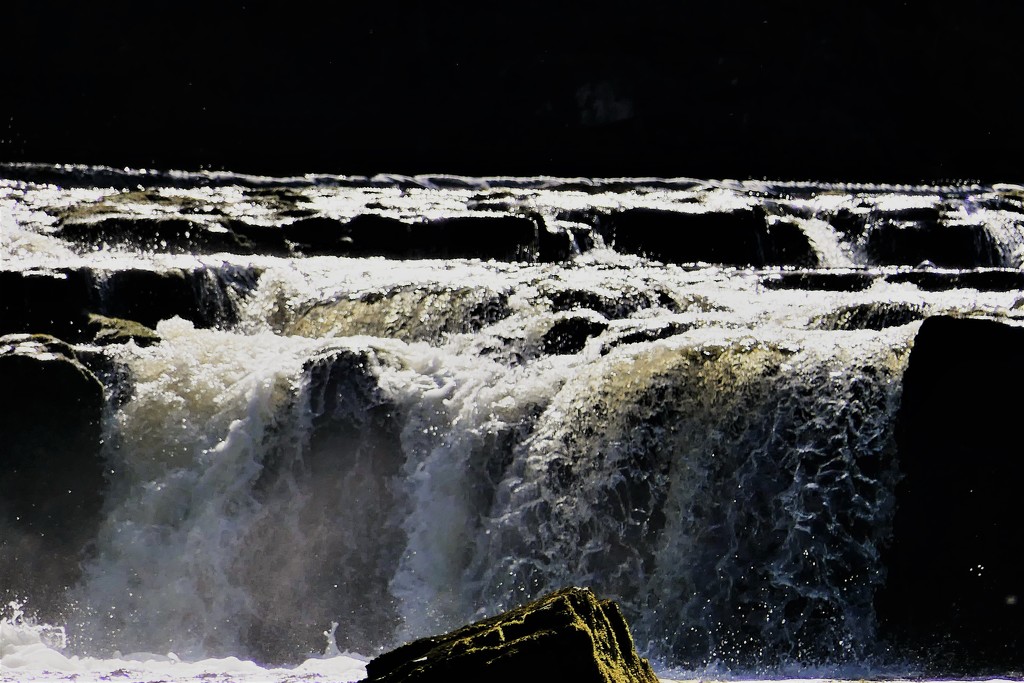 More Aysgarth Falls by carole_sandford