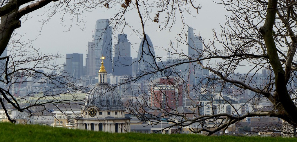 Canary Warf from Greenwich Park by susiemc