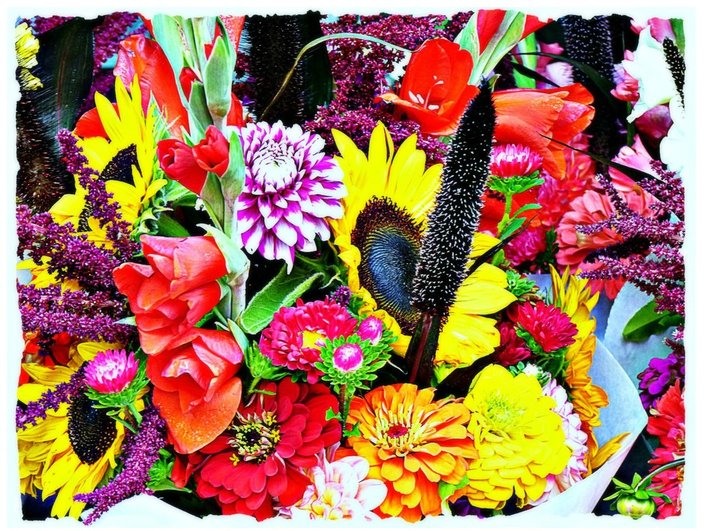 Farmers Market Flowers by peggysirk