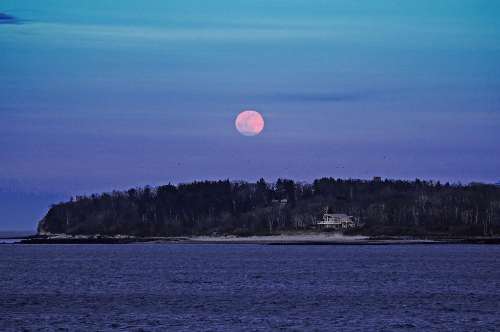Full Pink Moon Over Cushing Island by dianen