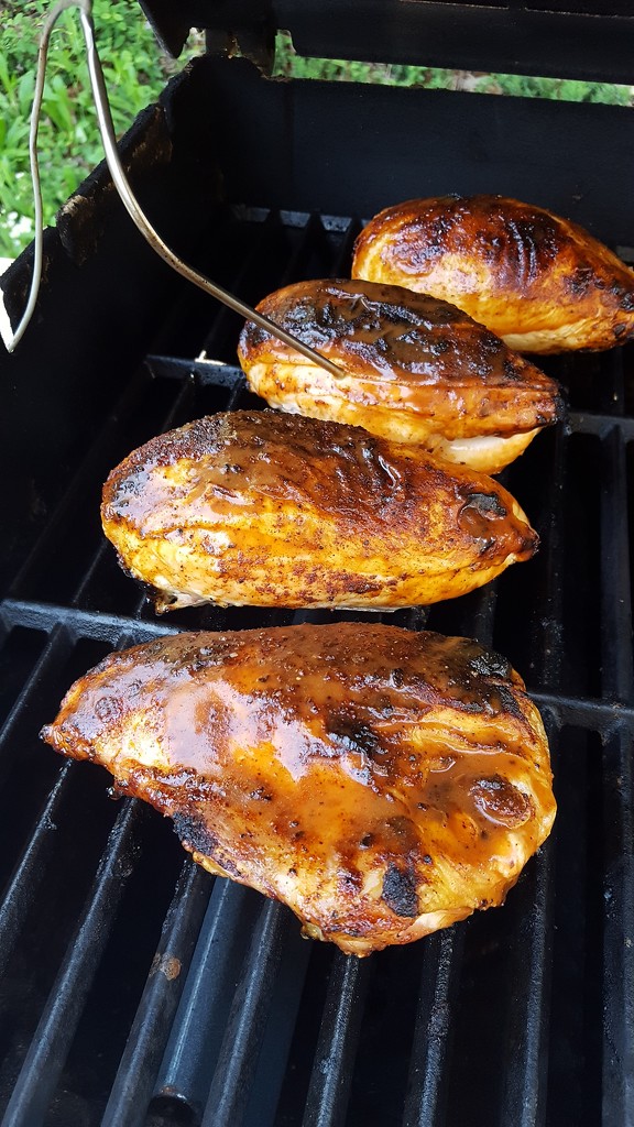 BBQ Chicken -- Grill therapy by darylo