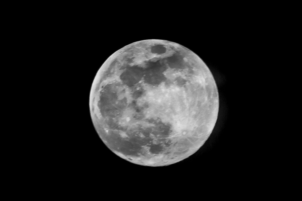 2017-04-11 - Full Moon Rising by pamknowler