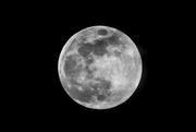 11th Apr 2017 - 2017-04-11 - Full Moon Rising