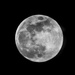 2017-04-11 - Full Moon Rising by pamknowler