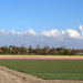 A Dutch view.  by pyrrhula