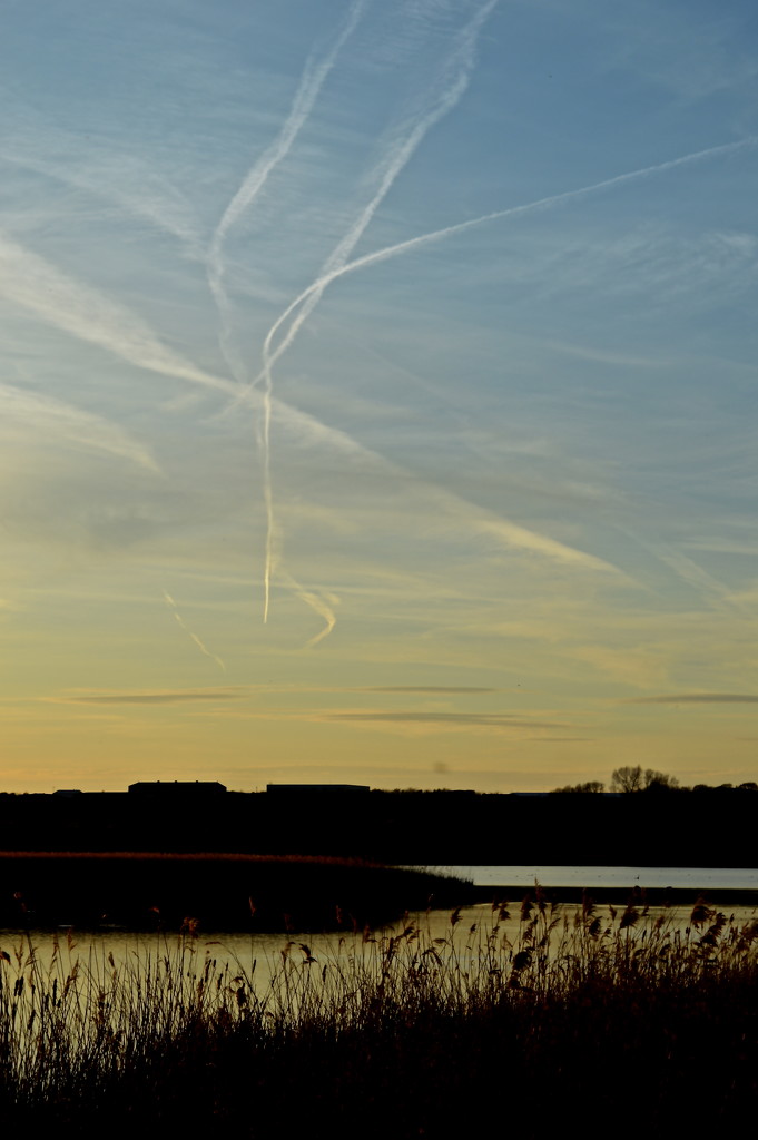 Contrails over Studmarsh Nature Reserve by redandwhite