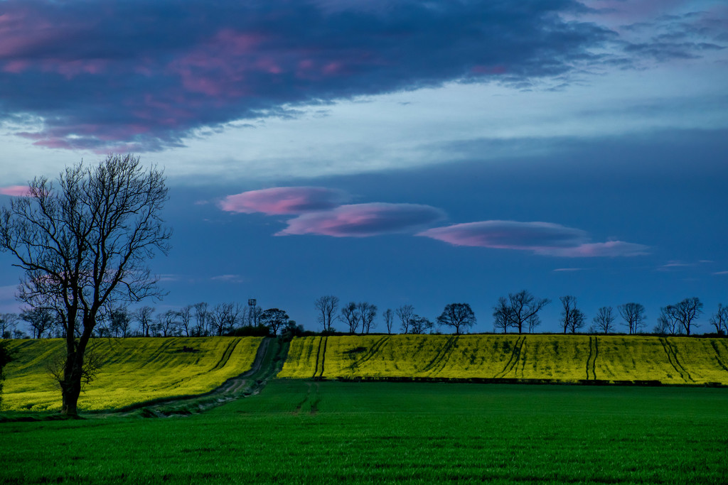Lenticular Clouds? by rjb71