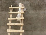 11th Apr 2017 - Ladder of Hope