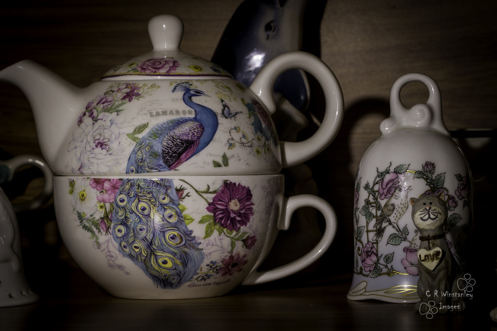 Day 101 Teapot and Cup by kipper1951