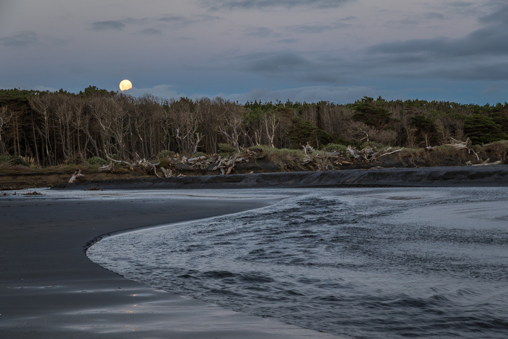 Moon Over Muriwai by helenw2
