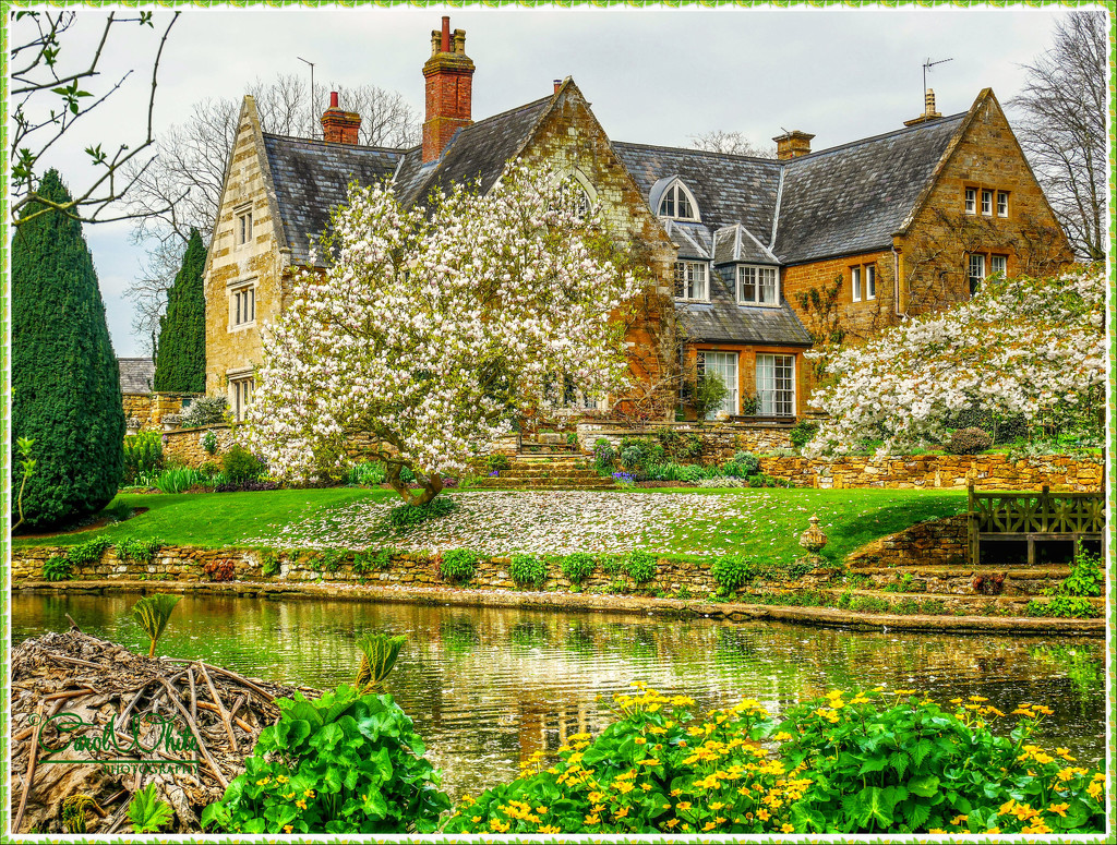 Coton Manor In Springtime by carolmw