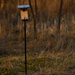 bird box by jackies365