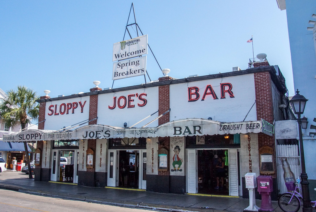 Sloppy Joe's! by danette