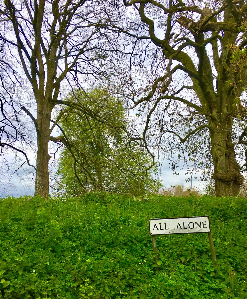 All alone  by 365projectdrewpdavies