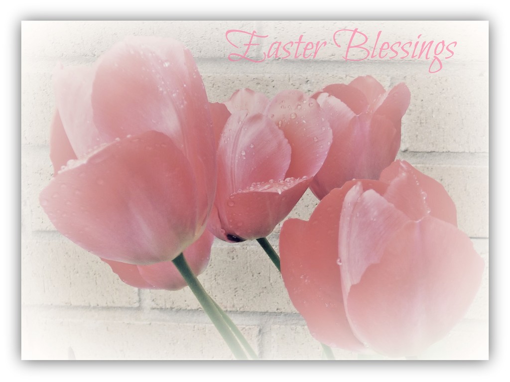 Easter Blessings  by beryl