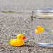(Day 58) - Duckie in a Bottle by cjphoto
