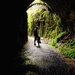 Trail tunnel by dkbarnett
