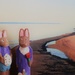 bunnies at the beach by edorreandresen