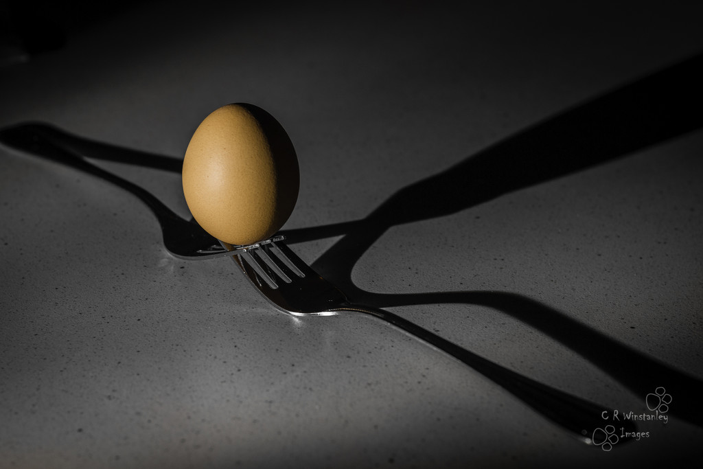 Day 102 Egg and Knives by kipper1951