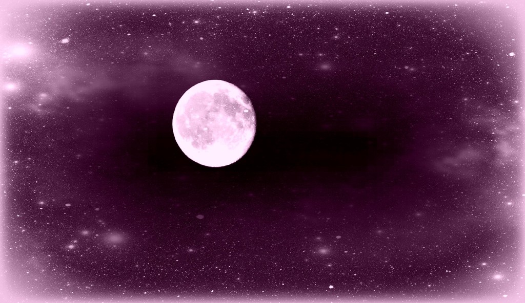Pink Moon. by wendyfrost