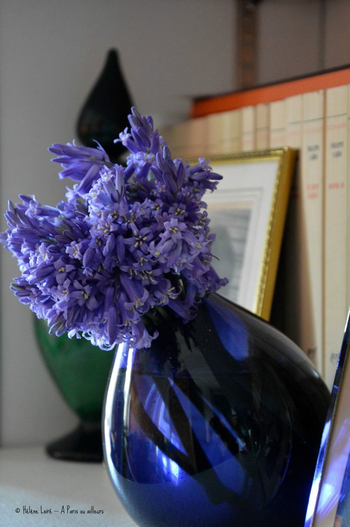Bluebells bouquet #3 by parisouailleurs