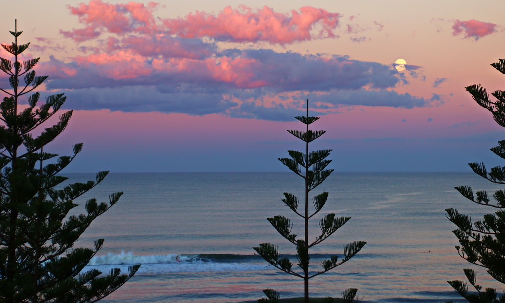 Early Evening at Burleigh by terryliv