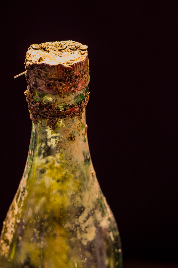 Old Dirty Bottle by clay88