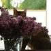 playing hide & seek in the lilac by parisouailleurs
