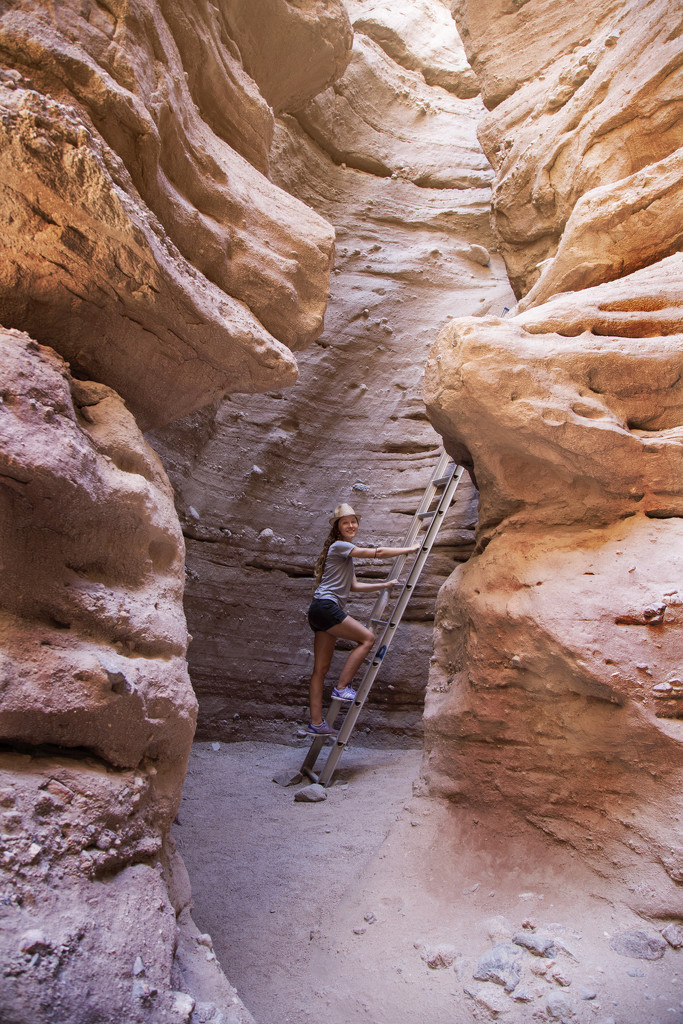 Canyon Exploration by lily