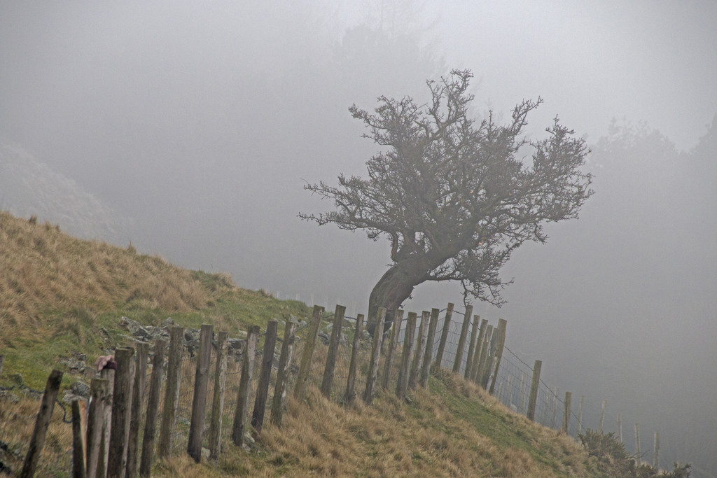 Fog on the Tor by shepherdman