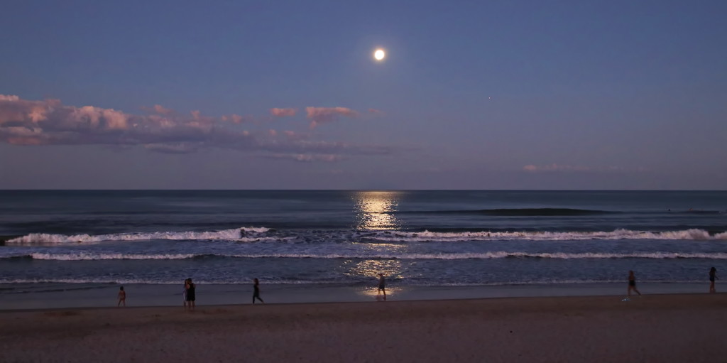 Moonlight Walk Along the Beach by terryliv