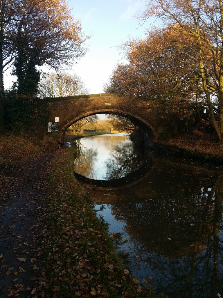 20161208_144021Canal  by janetr