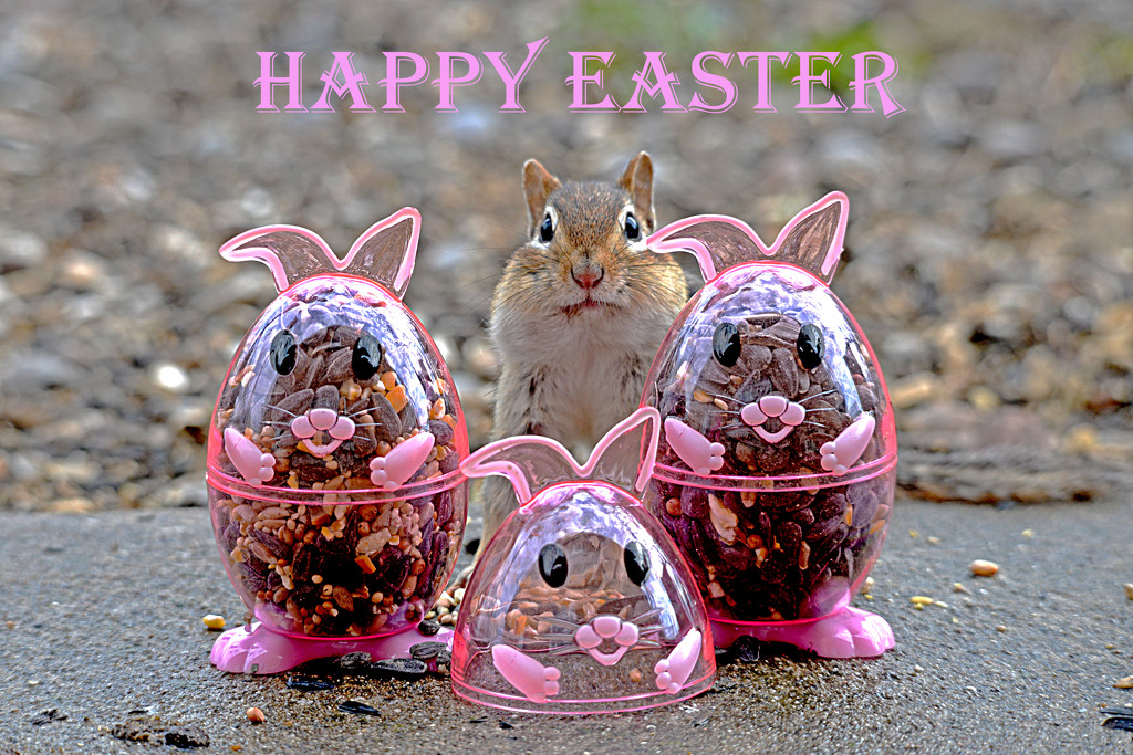 Happy Easter Everyone! by fayefaye
