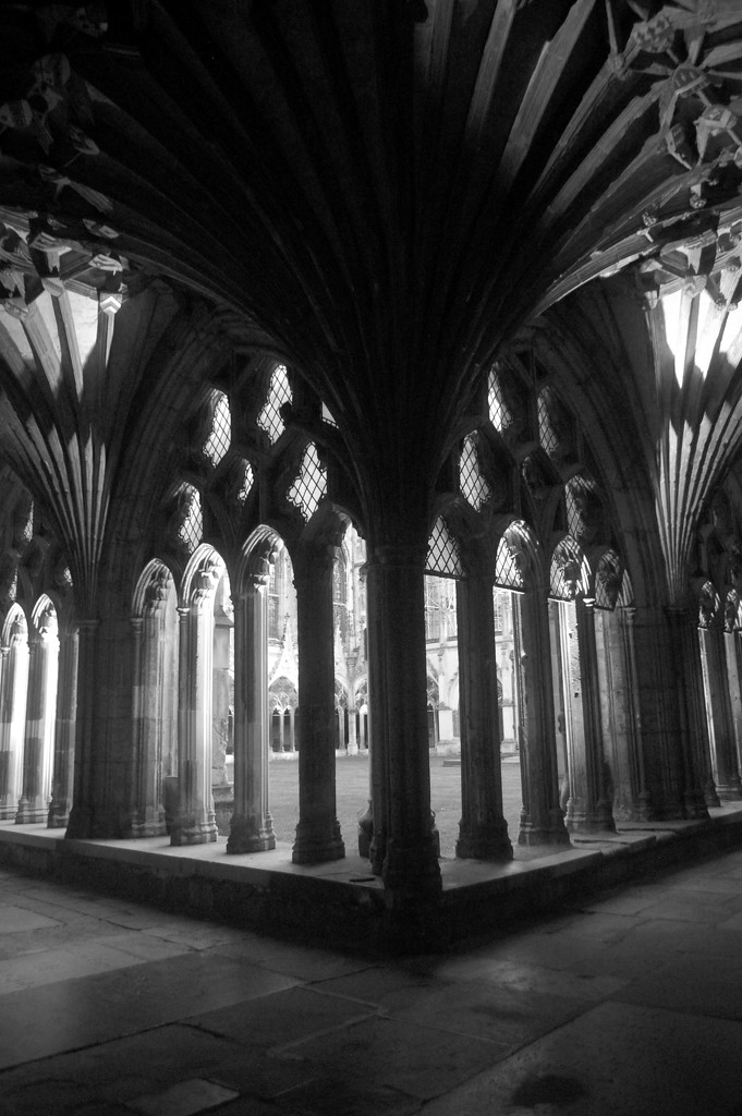 Cloisters by fbailey