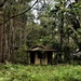 Little House in the Bush ~ by happysnaps