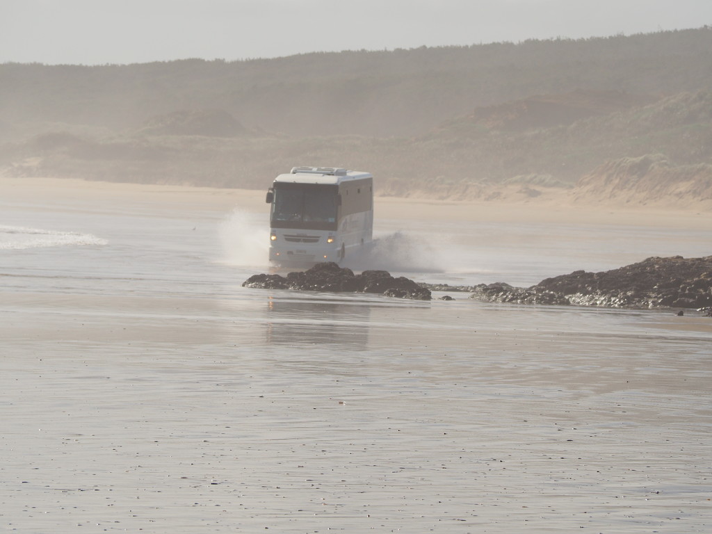 One of the 10 buses we passed on our way travelling north on 90 mile beach by Dawn