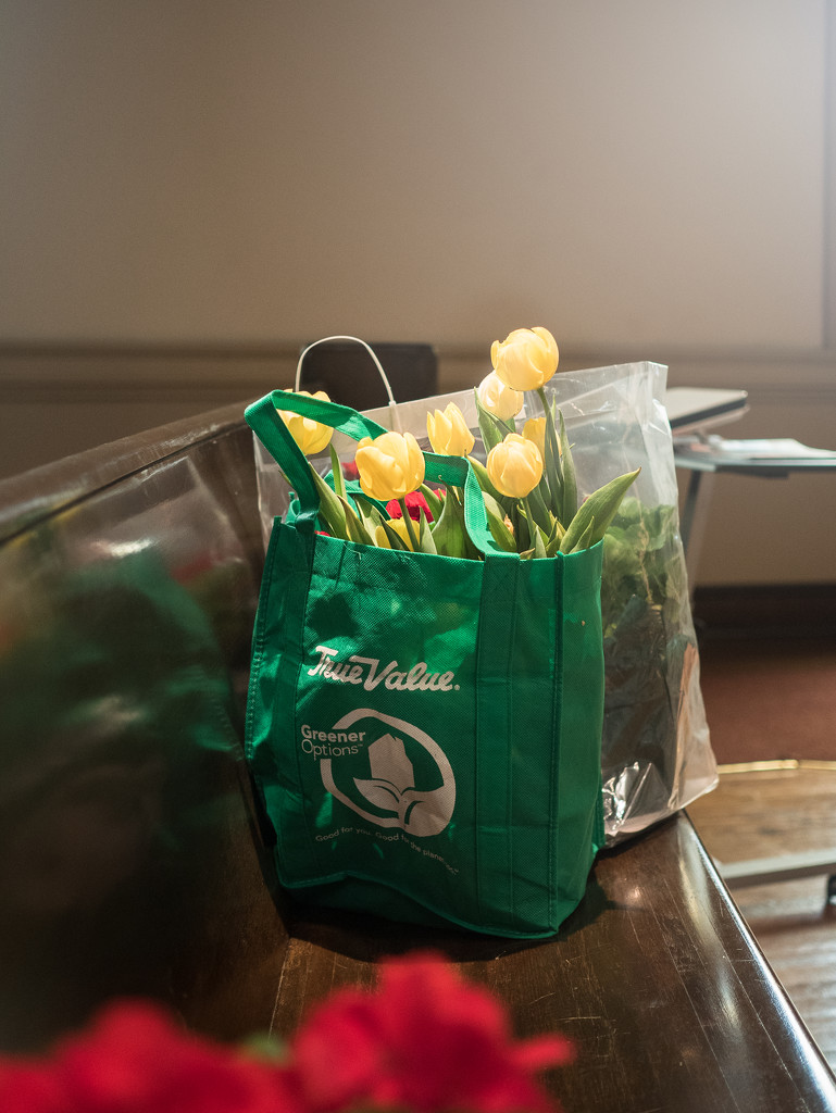 Tulips in a Bag by rosiekerr