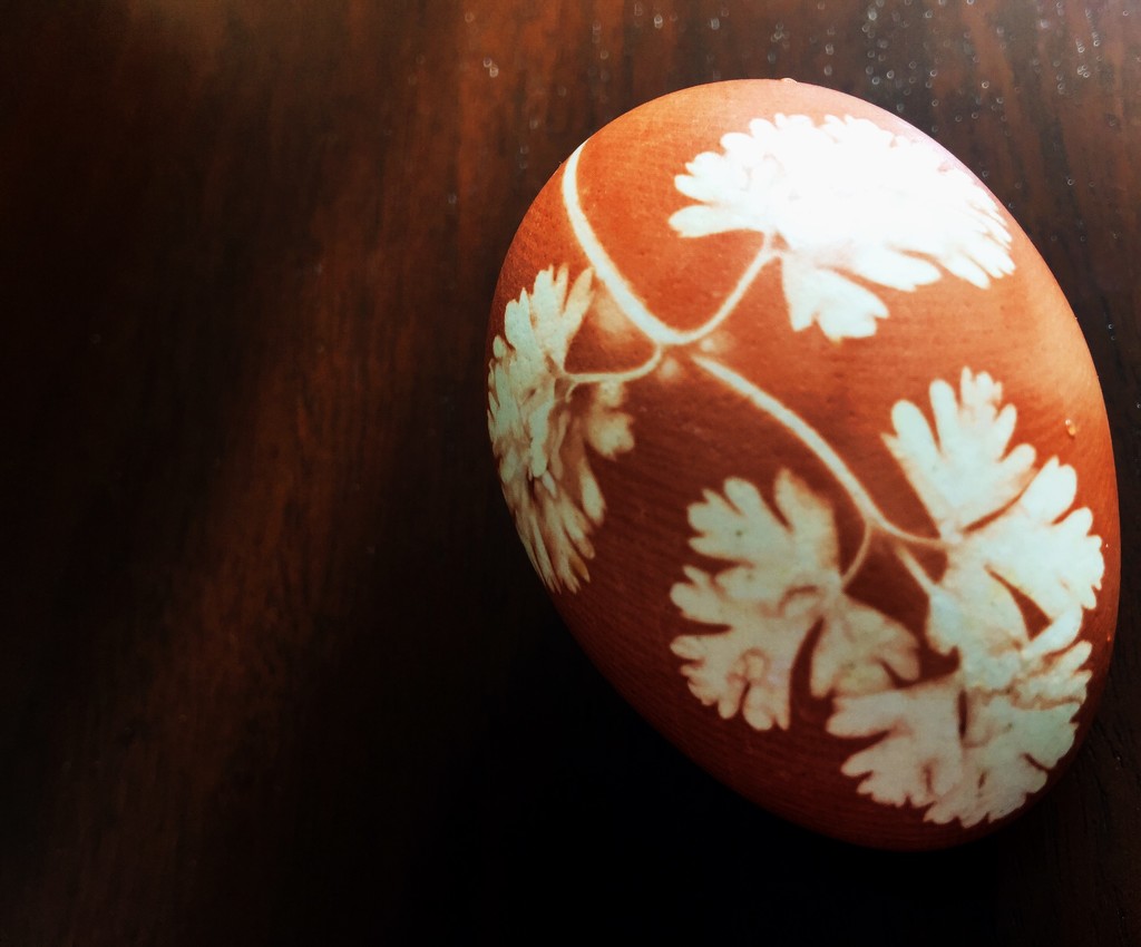 Day 229:  Violet's Painted Egg by sheilalorson
