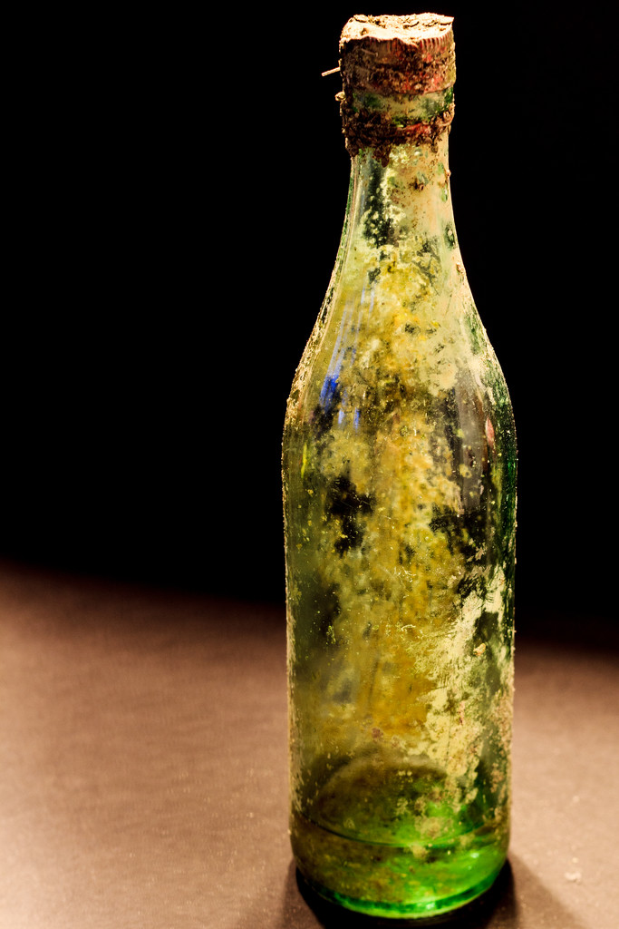 Old bottle II by clay88
